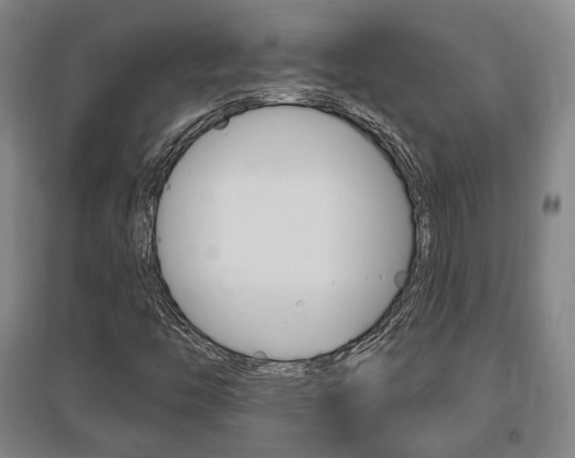 X0000095921446200801110843