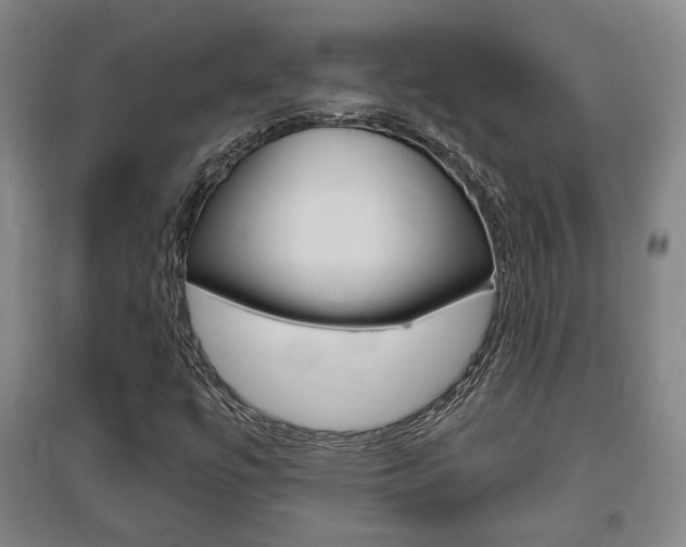 X0000095921447200801110843