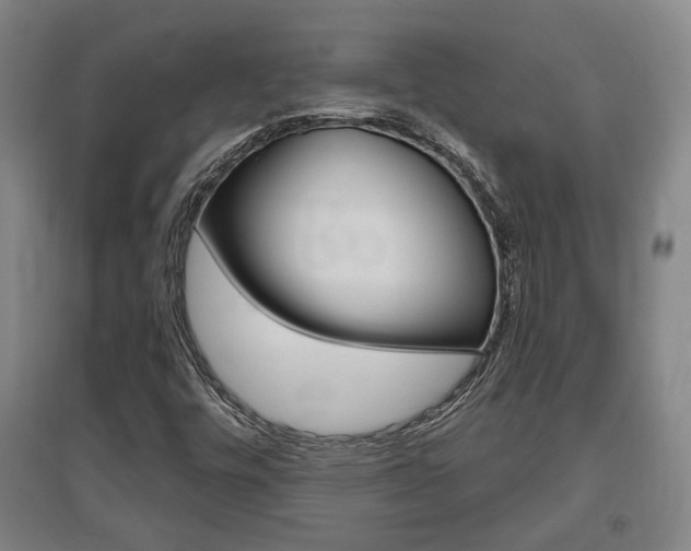 X0000095921448200801110843