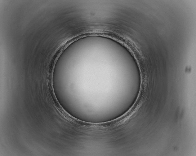 X0000095921449200801110843