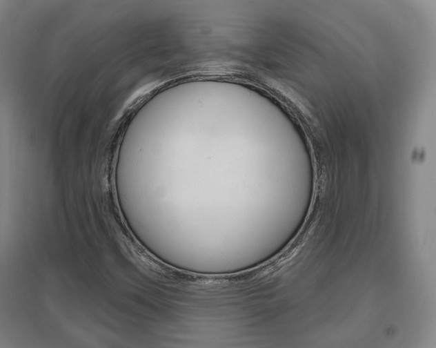 X0000095921451200801110843