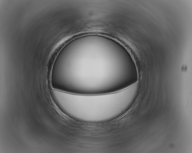 X0000095921452200801110843