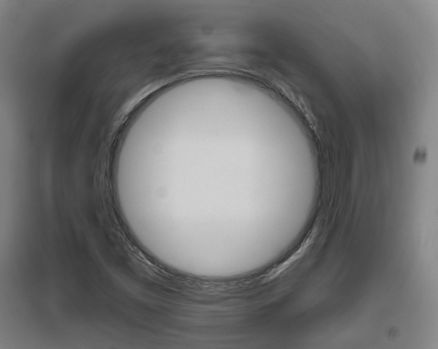 X0000095921453200801110843