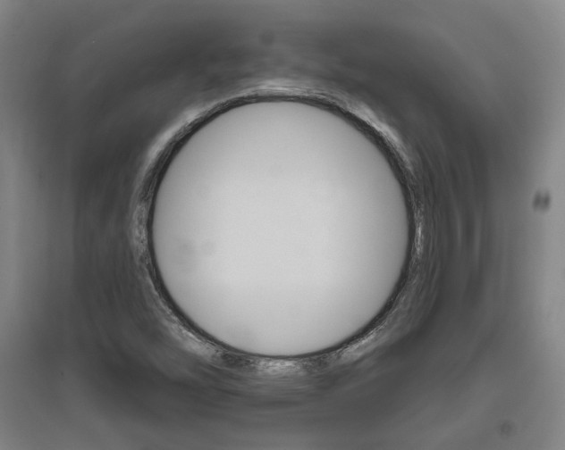 X0000095921454200801110843