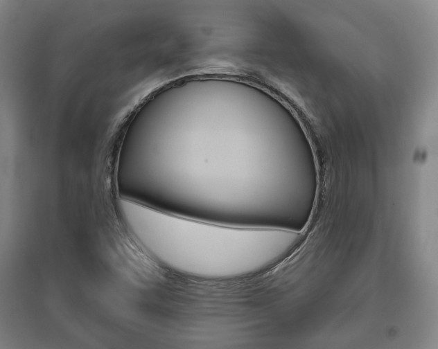 X0000095921455200801110843