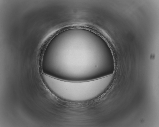 X0000095921456200801110843