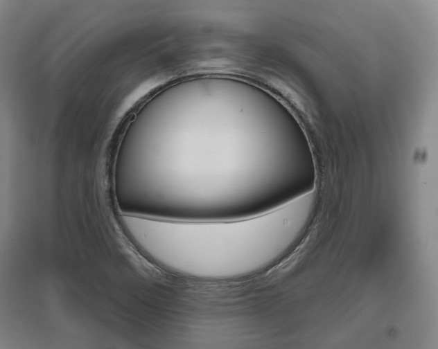 X0000095921458200801110843