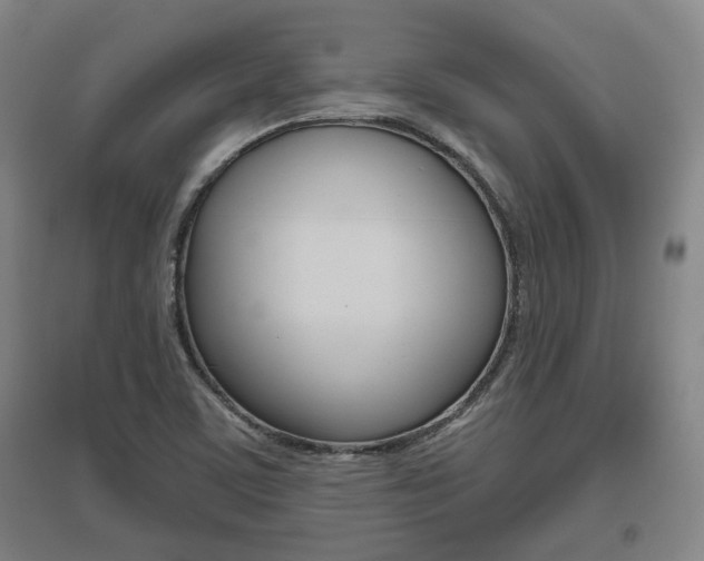 X0000095921459200801110843