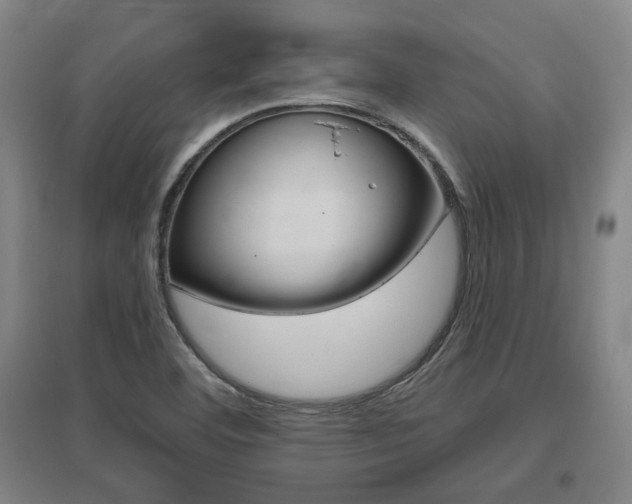 X0000095921460200801110843