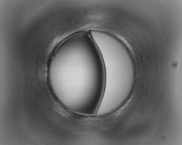 X0000095921461200801110843