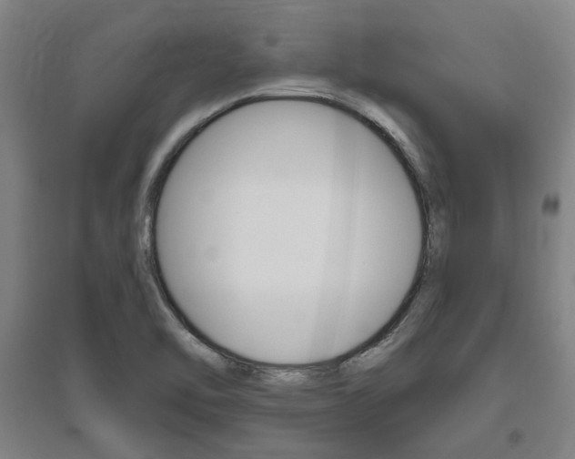 X0000095921462200801110843