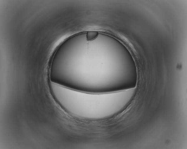 X0000095921463200801110843