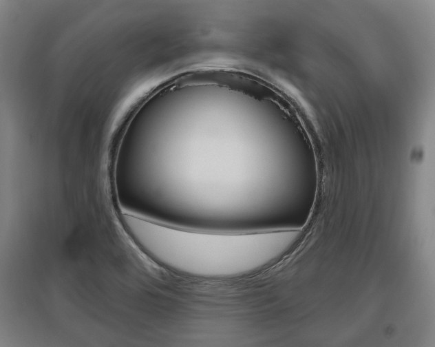 X0000095921464200801110843