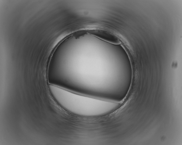 X0000095921465200801110843