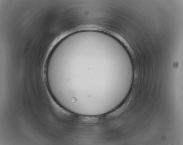 X0000095921466200801110843