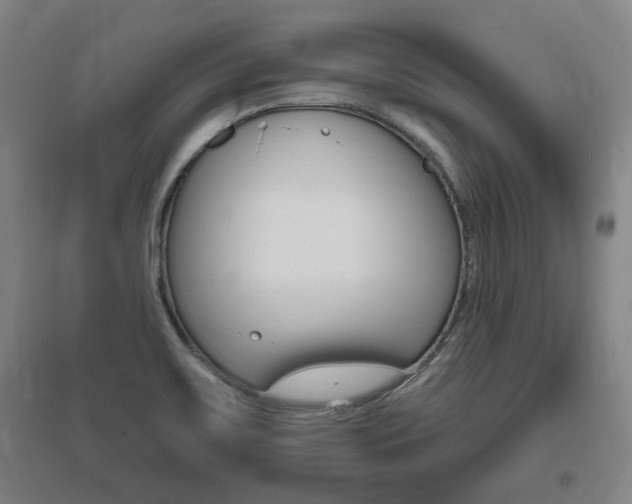 X0000095921467200801110843