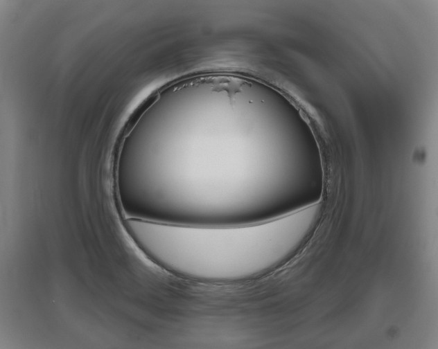 X0000095921468200801110843