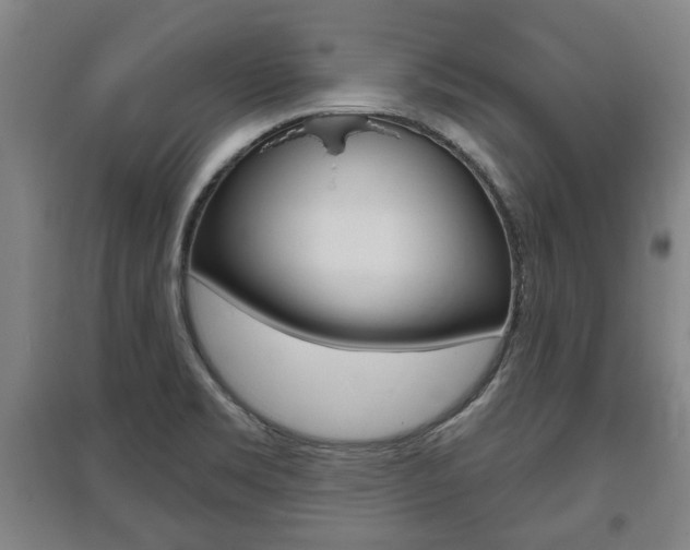 X0000095921469200801110843