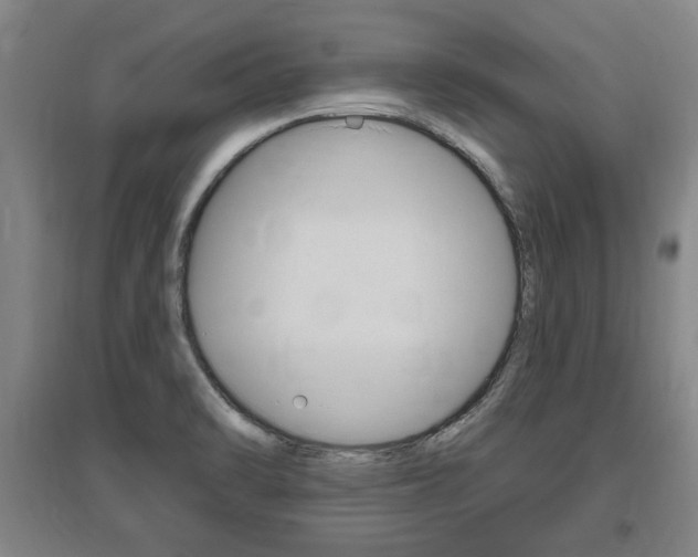 X0000095921470200801110843