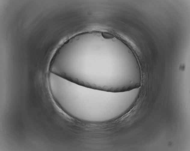 X0000095921471200801110843