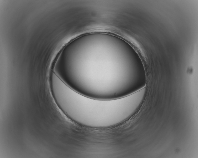 X0000095921472200801110843