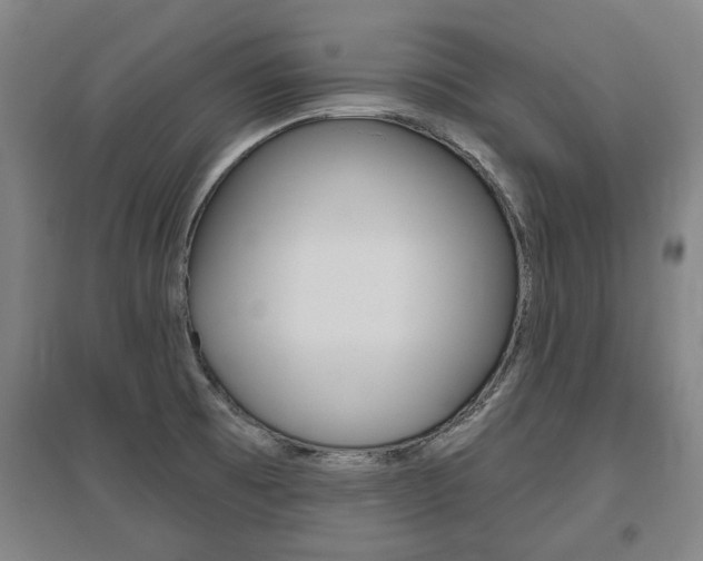 X0000095921473200801110843