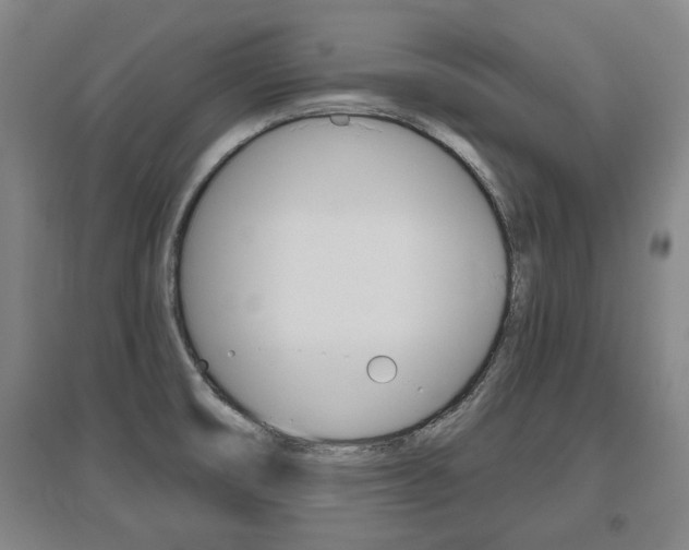 X0000095921474200801110843