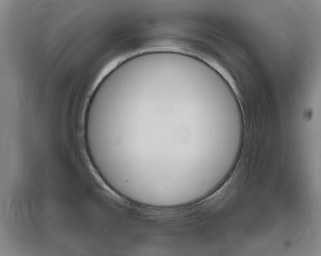 X0000095921477200801110843