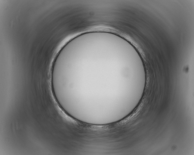 X0000095921478200801110843