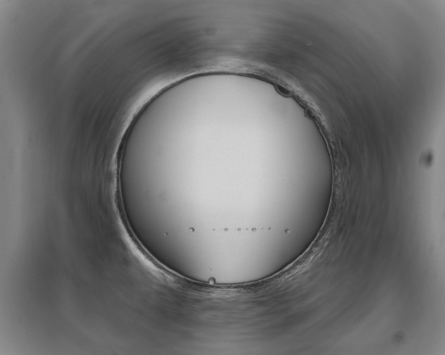 X0000095921479200801110843