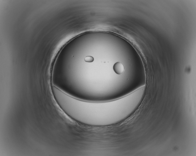 X0000095921480200801110843