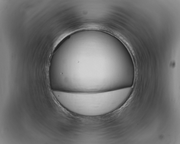 X0000095921481200801110843