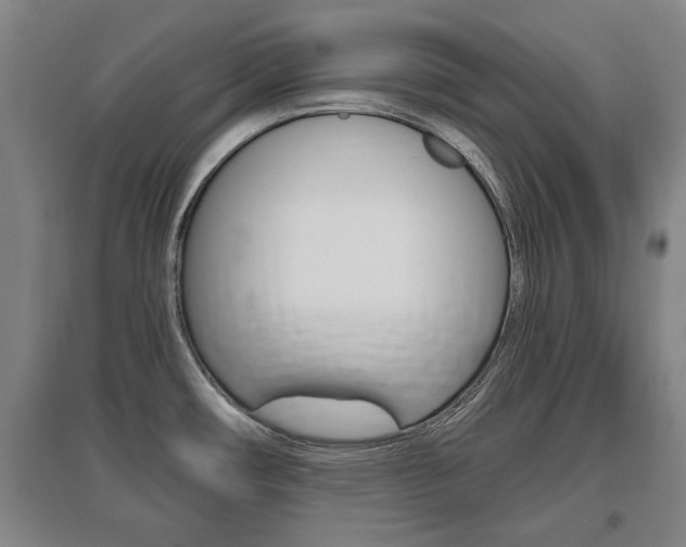 X0000095921482200801110843