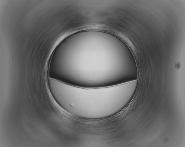 X0000095921483200801110843