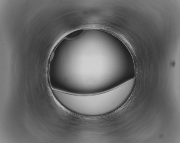 X0000095921484200801110843