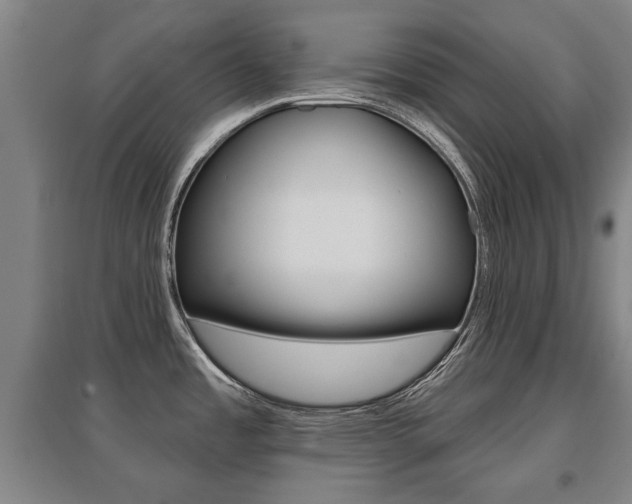 X0000095921485200801110843