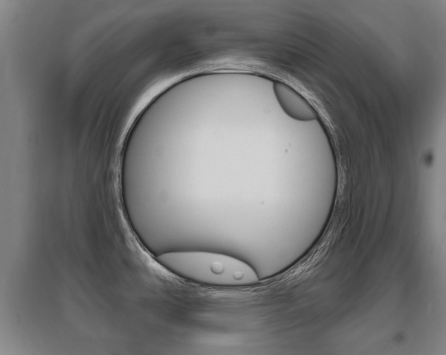 X0000095921486200801110843