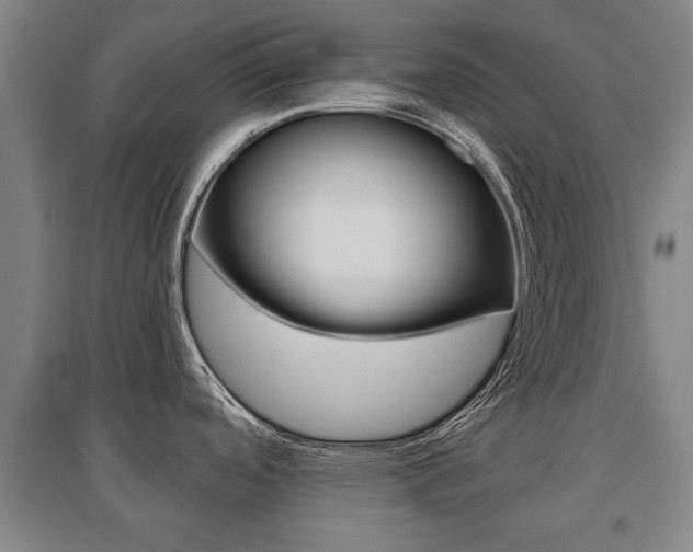 X0000095921488200801110843