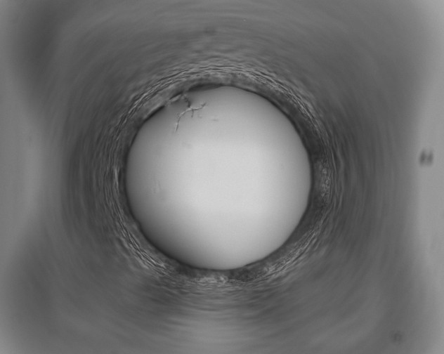 X0000095921489200801110842