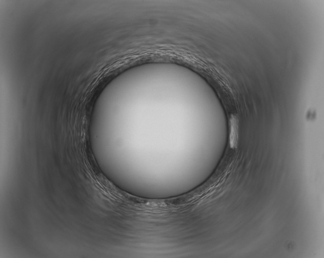 X0000095921491200801110842