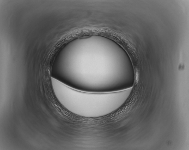 X0000095921492200801110842