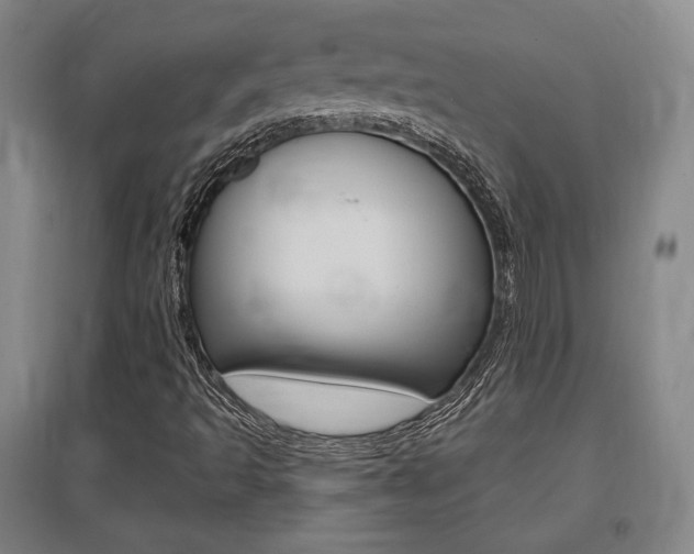 X0000095921493200801110842