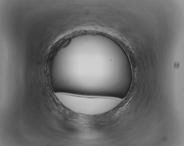 X0000095921494200801110842
