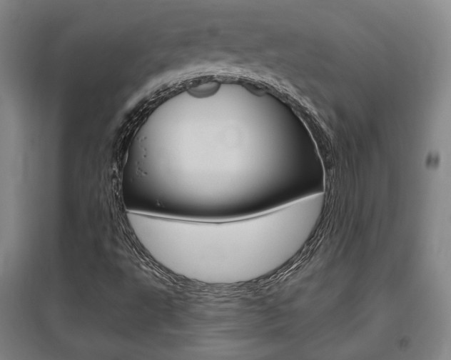 X0000095921495200801110842