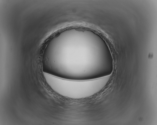 X0000095921496200801110842