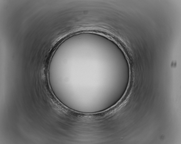 X0000095921497200801110842