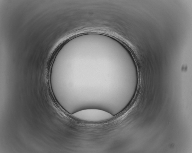 X0000095921498200801110842