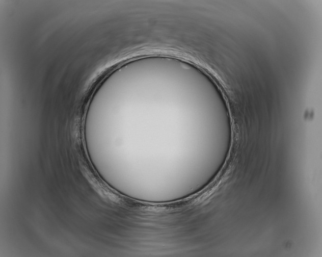 X0000095921499200801110842