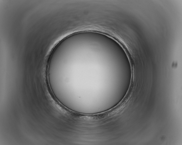 X0000095921500200801110842