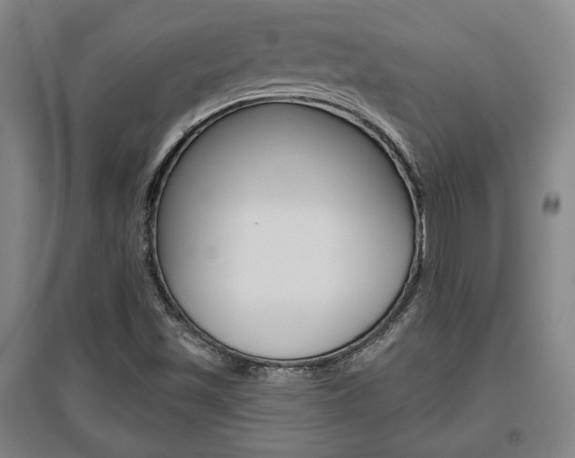 X0000095921501200801110842